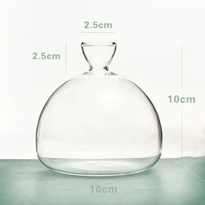 Clear glass avocado seed starter hydroponic vase for kitchen windowsills