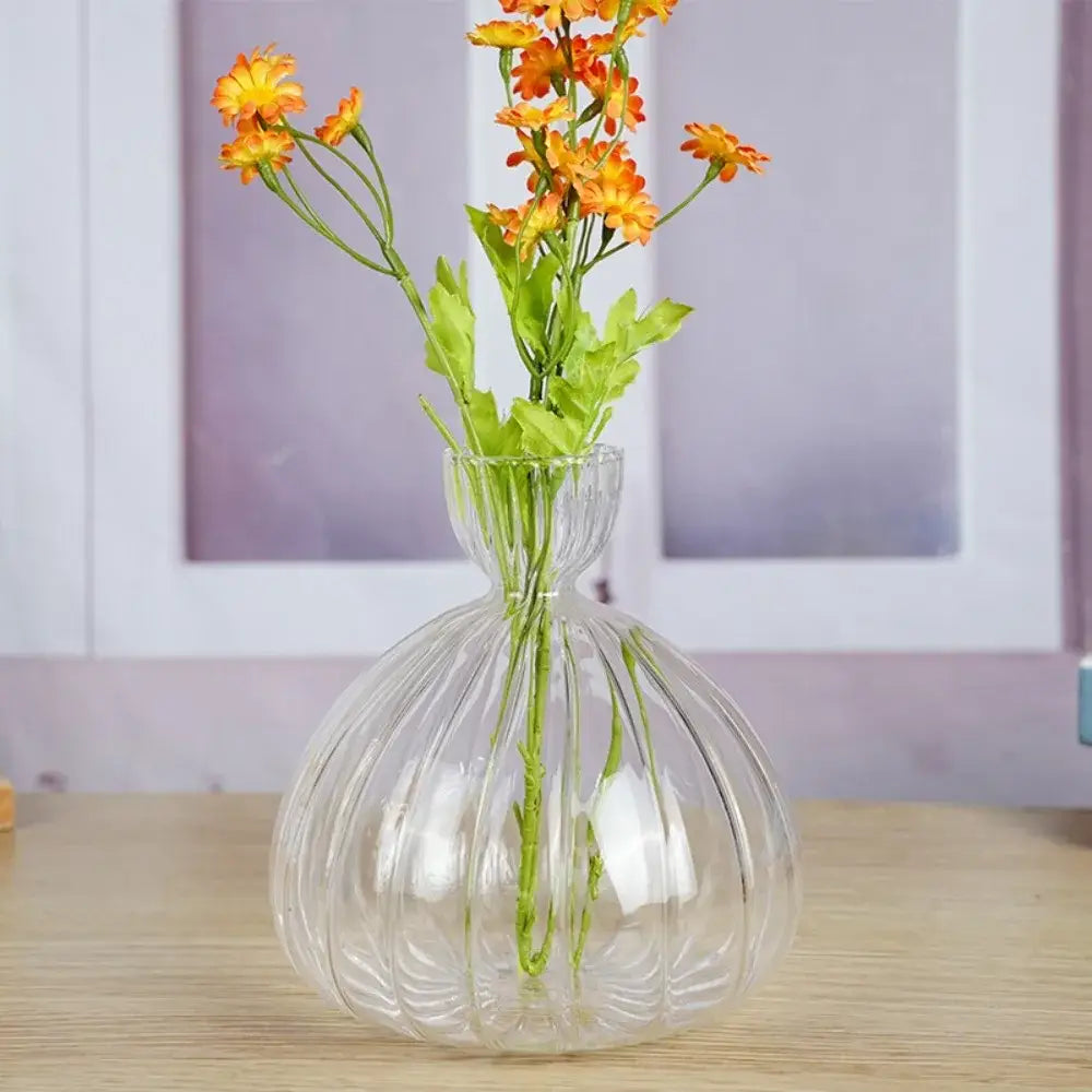 Clear glass avocado seed starter hydroponic vase for kitchen windowsills