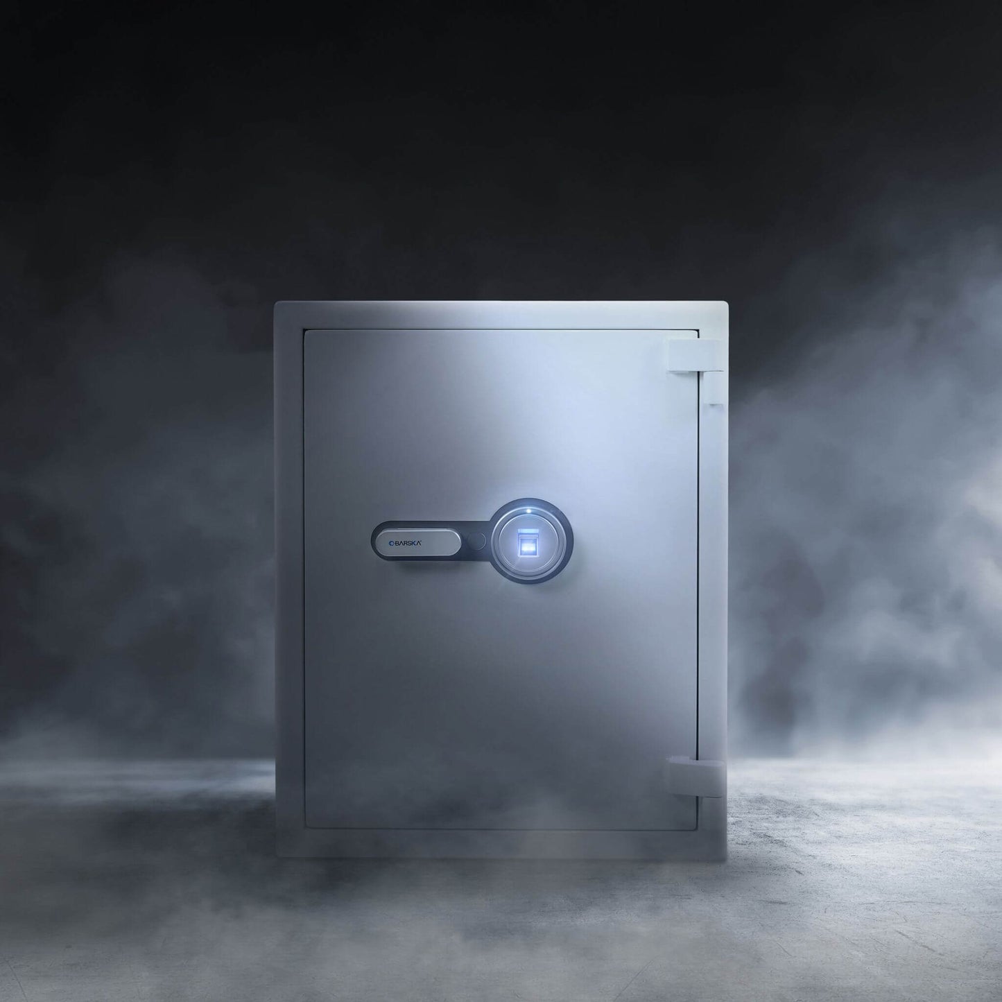 Barska 4.48 CF Large Heavy-Duty Fireproof Biometric Safe (SAK83490)