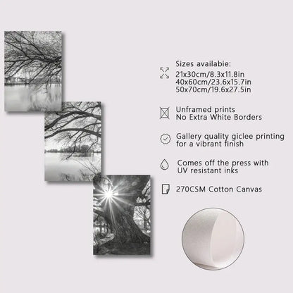 Modern black & white big tree lake sunset canvas – living room wall art
