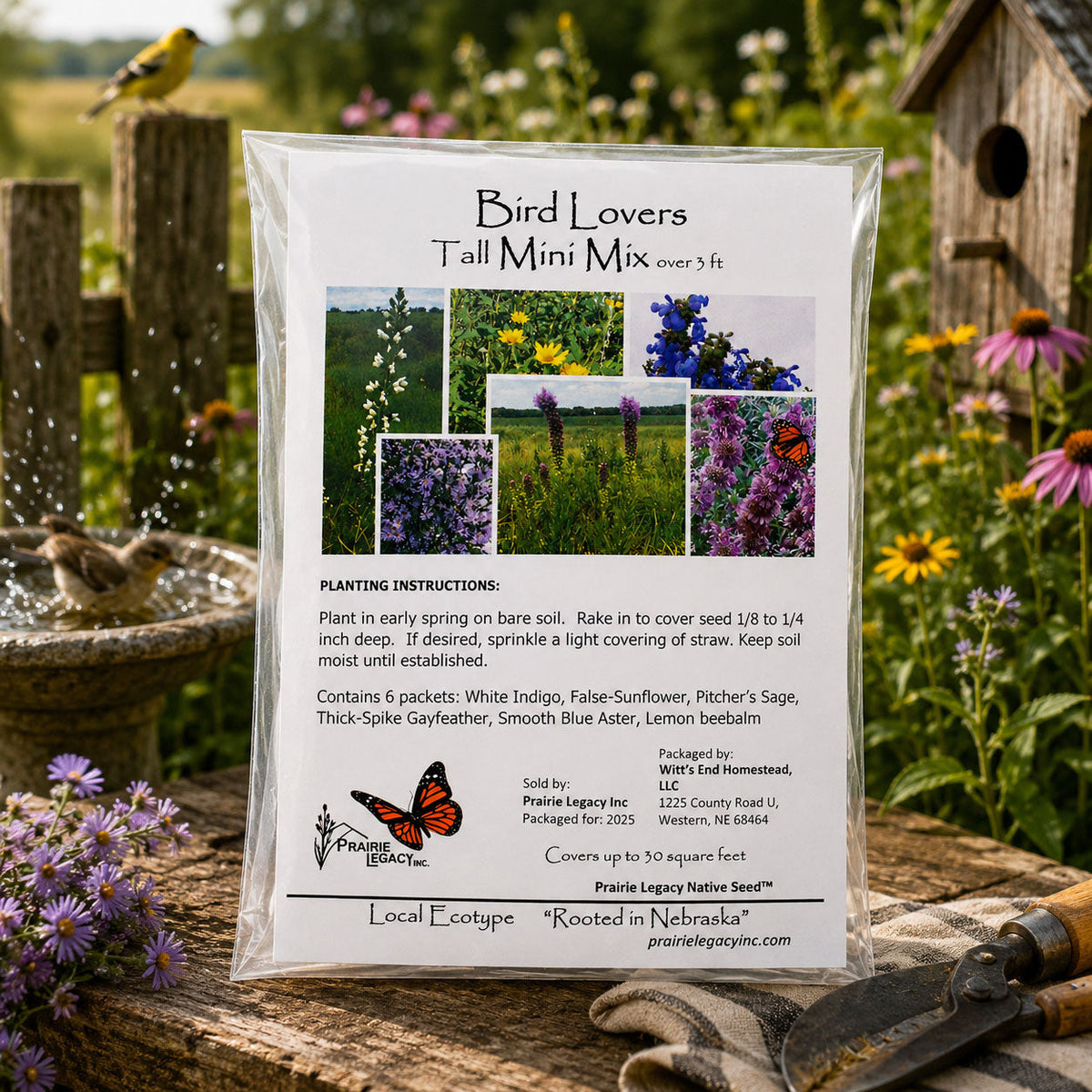 Mini Native Tall Bird Lovers Seed Mix | Prairie Legacy Inc.