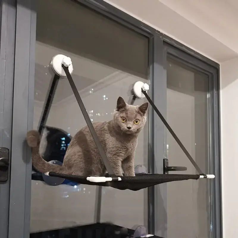 Black cat window suction hanging bed living room hammock