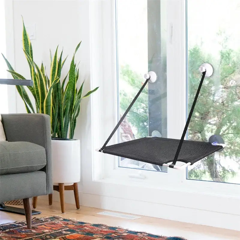 Black cat window suction hanging bed living room hammock