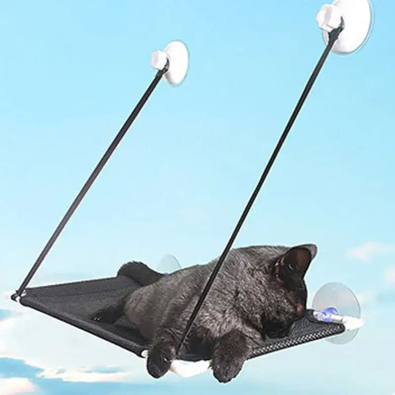 Black cat window suction hanging bed living room hammock