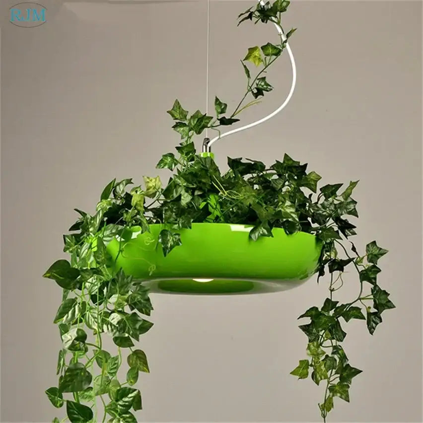 Black matte babylon garden pot plants pendant light kitchen ivy decor