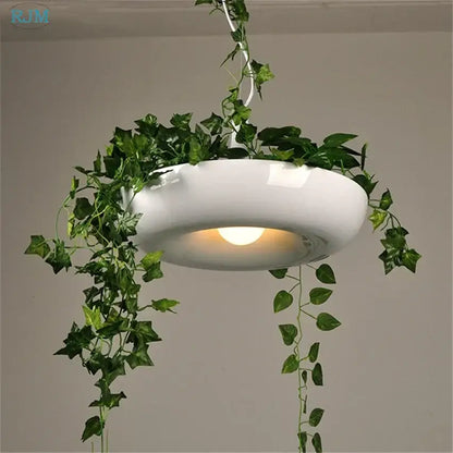 Black matte babylon garden pot plants pendant light kitchen ivy decor