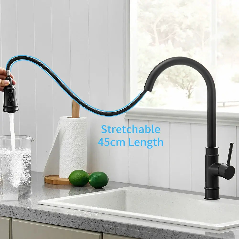 Black single handle pull out kitchen faucet with swivel spout