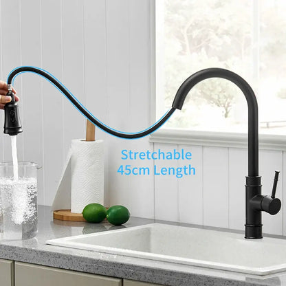 Black single handle pull out kitchen faucet with swivel spout