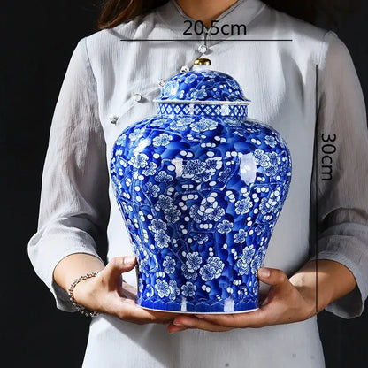 Blue & white porcelain pot sealed storage tank kitchen ginger jar