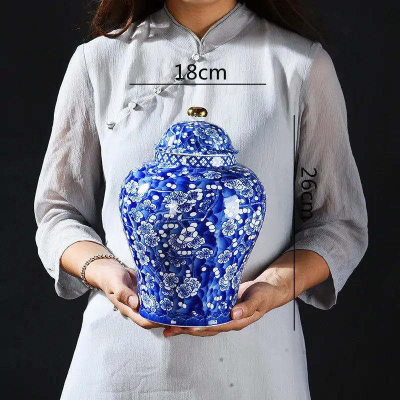 Blue & white porcelain pot sealed storage tank kitchen ginger jar
