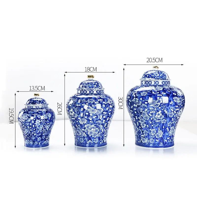 Blue & white porcelain pot sealed storage tank kitchen ginger jar