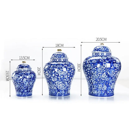 Blue & white porcelain pot sealed storage tank kitchen ginger jar