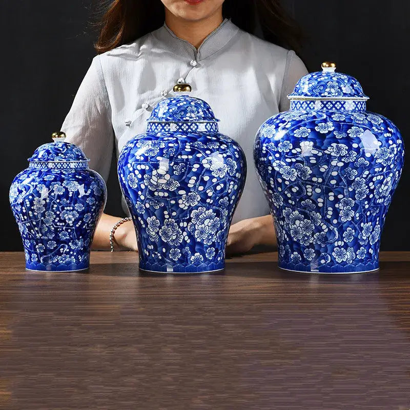 Blue & white porcelain pot sealed storage tank kitchen ginger jar