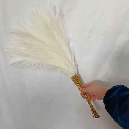 Boho white & beige fluffy pampas grass – living room decor