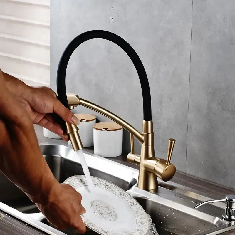 Brass and black dual spout kitchen faucet with dual handles
