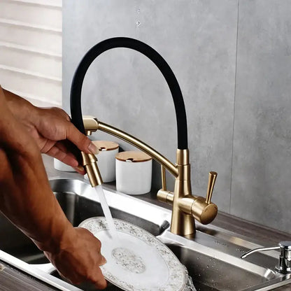 Brass and black dual spout kitchen faucet with dual handles
