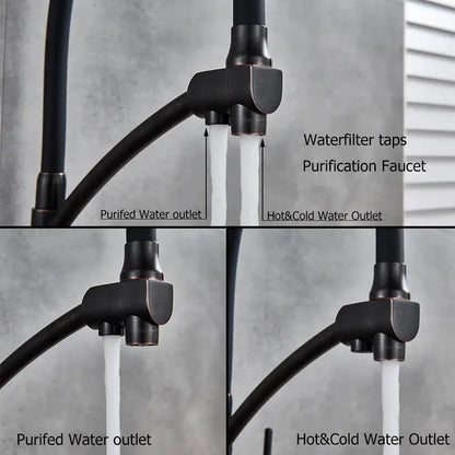 Brass and black dual spout kitchen faucet with dual handles