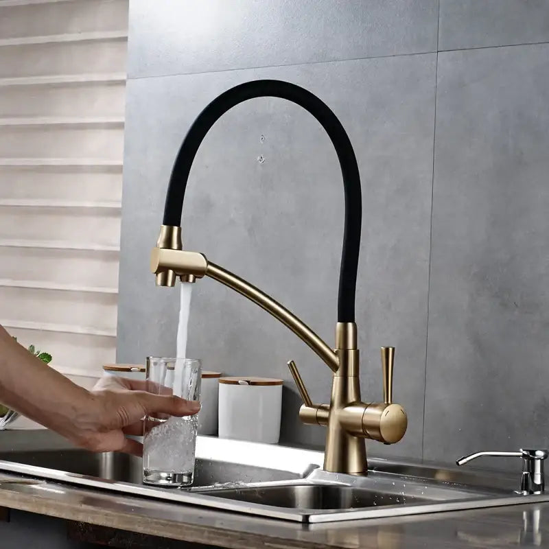 Brass and black dual spout kitchen faucet with dual handles