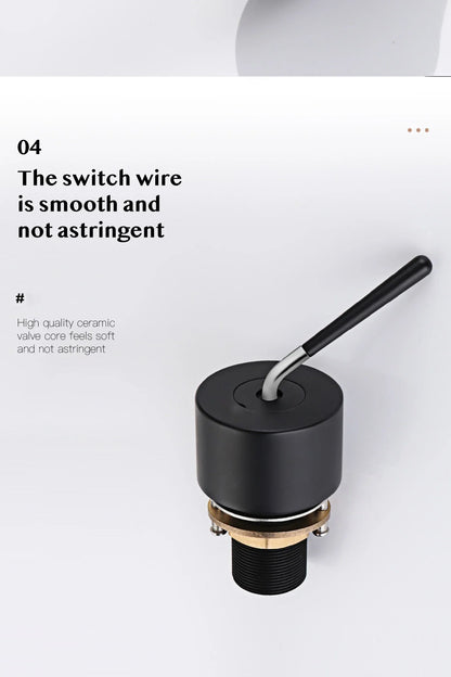 DecorBites™ Brass Black Luxury Bathroom Faucet - Single Handle
