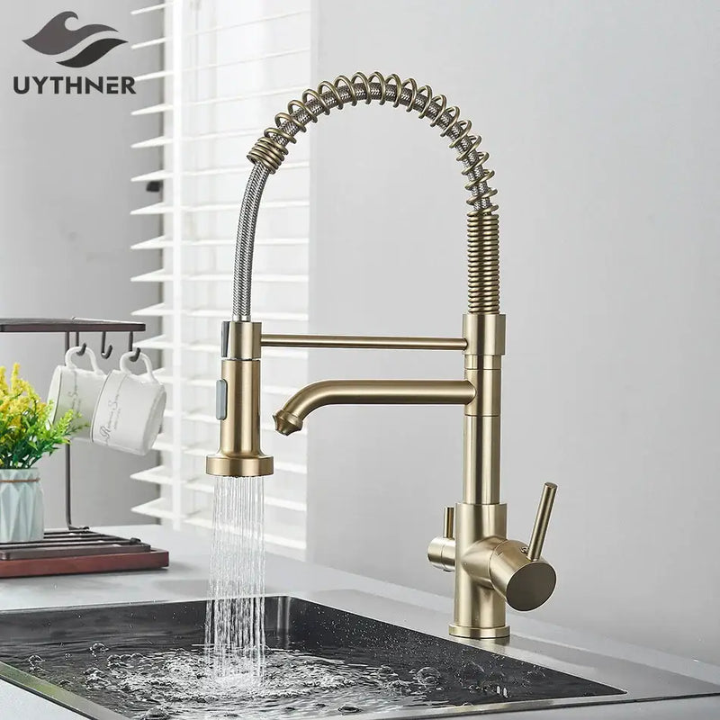 Brass dual spout water filter faucet kitchen coiled pull down spray