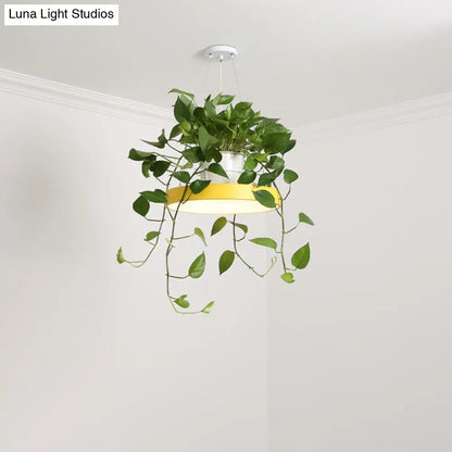 DecorBites™ Brooklyn - Round Macaron Round Hanging Light Acrylic LED Pendant Lighting Fixture in Black/Grey/White with Top Plant Pot