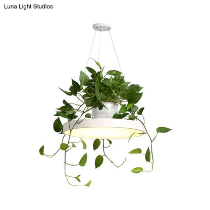 DecorBites™ Brooklyn - Round Macaron Round Hanging Light Acrylic LED Pendant Lighting Fixture in Black/Grey/White with Top Plant Pot