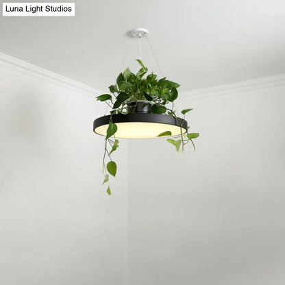 DecorBites™ Brooklyn - Round Macaron Round Hanging Light Acrylic LED Pendant Lighting Fixture in Black/Grey/White with Top Plant Pot