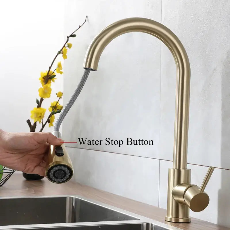 Brushed gold pull out kitchen faucet with textured hose