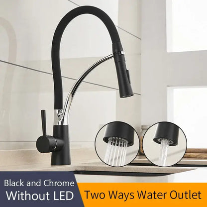 Brushed nickel and black kitchen sink faucet with pull down spray