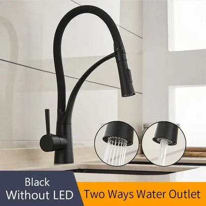 Brushed nickel and black kitchen sink faucet with pull down spray