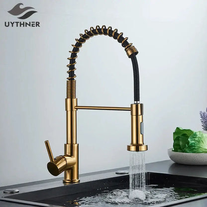 Brushed nickel coiled spring kitchen faucet with pull down sprayer