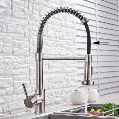 Brushed nickel coiled spring kitchen faucet with pull down sprayer
