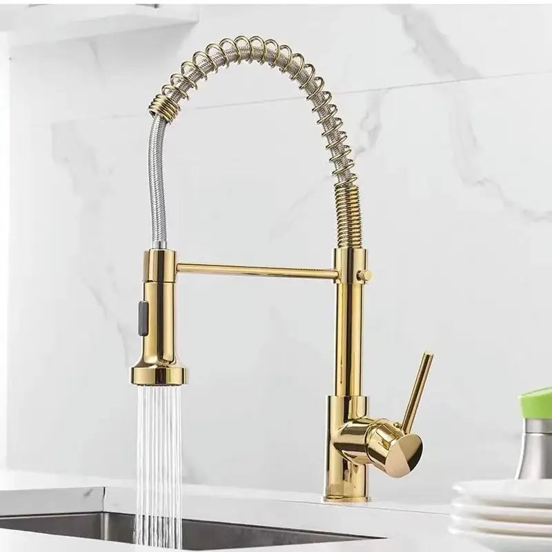 Brushed nickel kitchen faucet with pull down coiled gooseneck spout