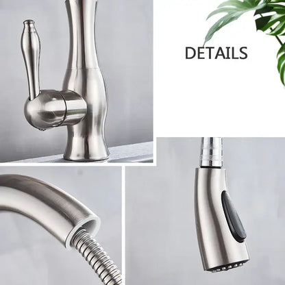 Brushed nickel kitchen faucet with pull down sprayer
