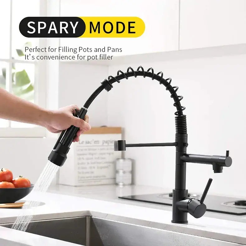Brushed nickel kitchen faucet with spring hose and spray head
