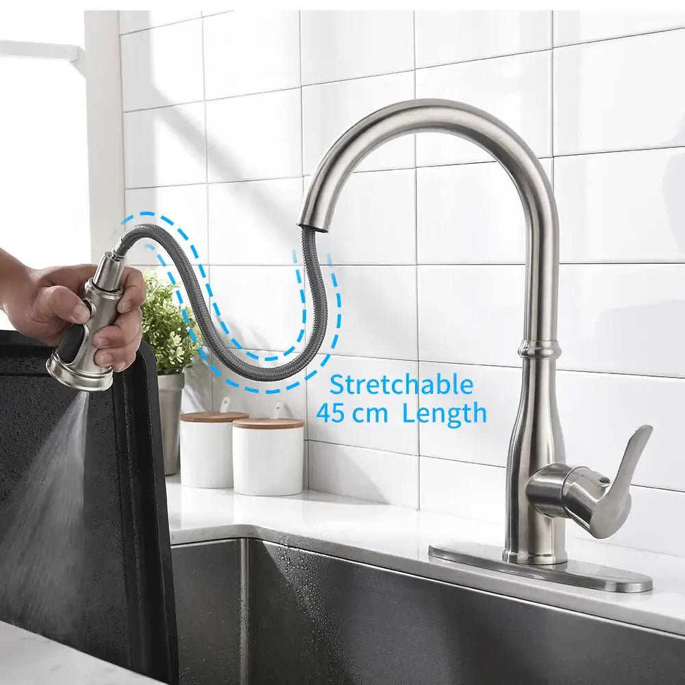 Brushed nickel single handle pull out kitchen faucet