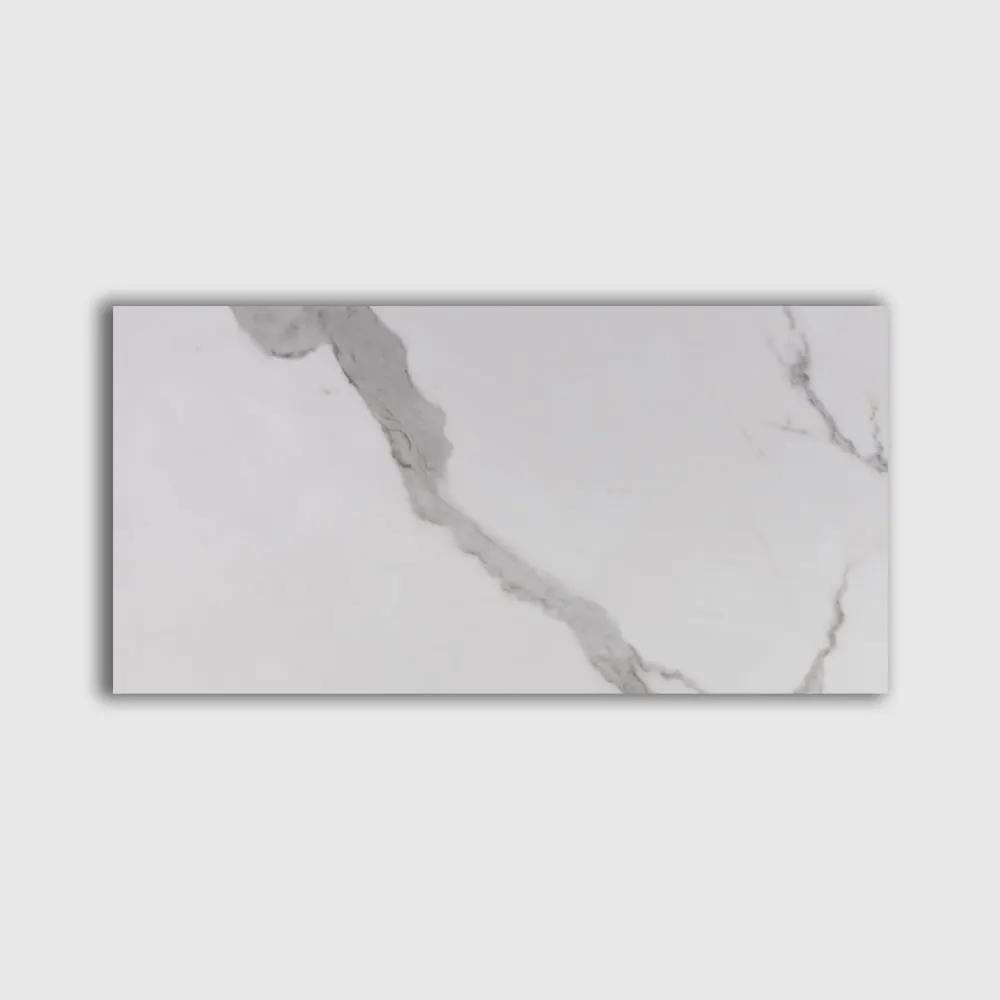 Calacatta Bright Matte Marble Look Porcelain Tiles 12x24