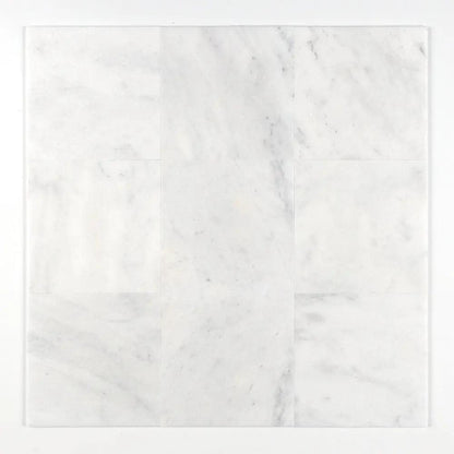 Calacatta T Honed Marble Tiles 12x12