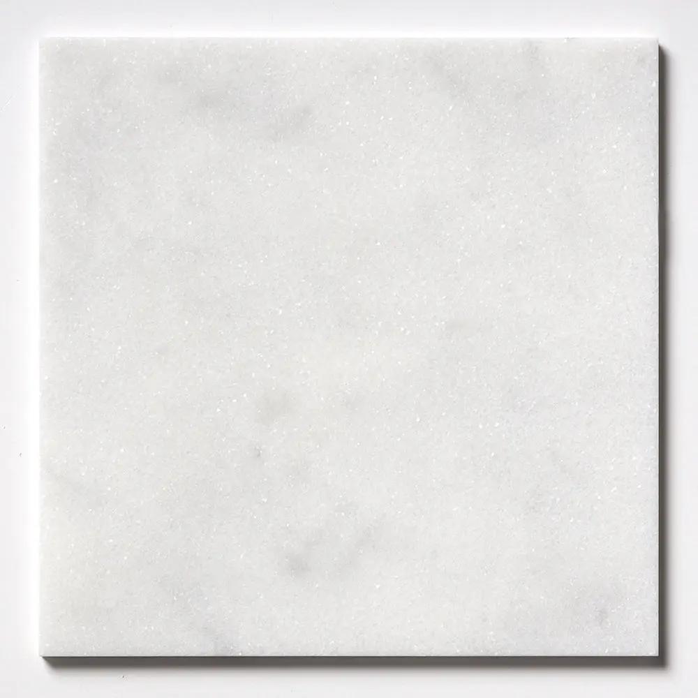Calacatta T Honed Marble Tiles 12x12