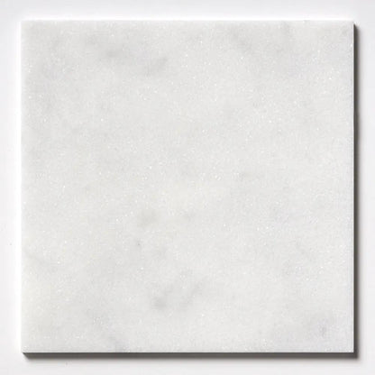 Calacatta T Honed Marble Tiles 12x12