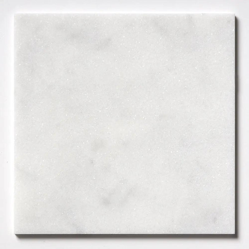 Calacatta T Honed Marble Tiles 12x12