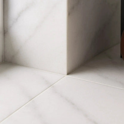 Calacatta T Honed Marble Tiles 12x24