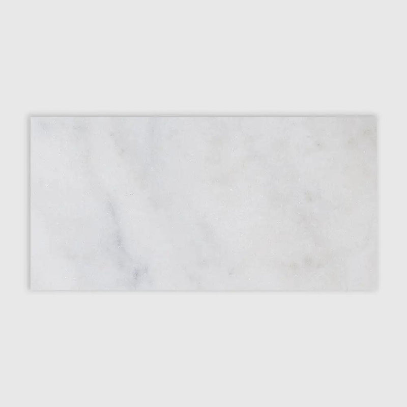 Calacatta T Honed Marble Tiles 12x24