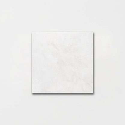 Calacatta T Honed Marble Tiles 5 1/2x5 1/2