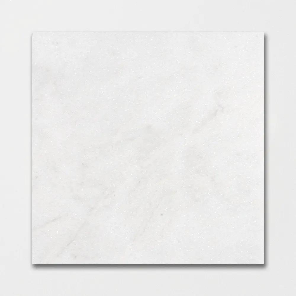 Calacatta T Honed Marble Tiles 18x18