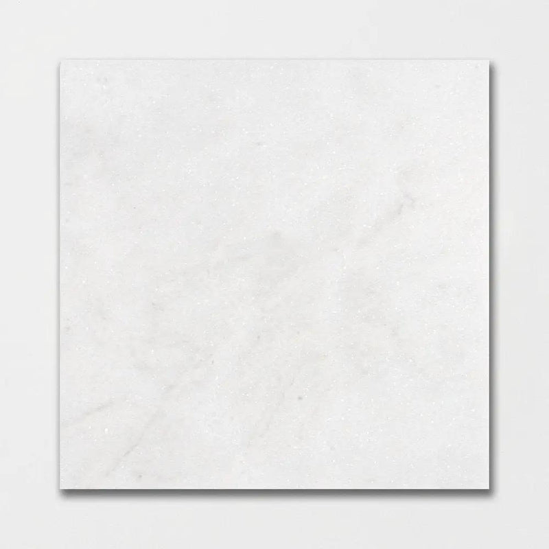 Calacatta T Honed Marble Tiles 18x18