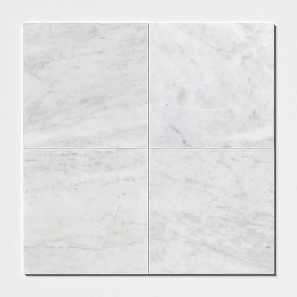 Calacatta T Polished Marble Tiles 24x24