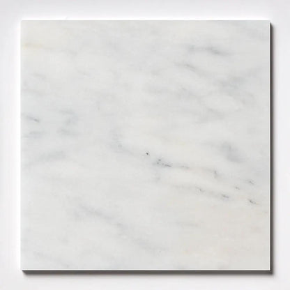 Calacatta T Polished Marble Tiles 24x24