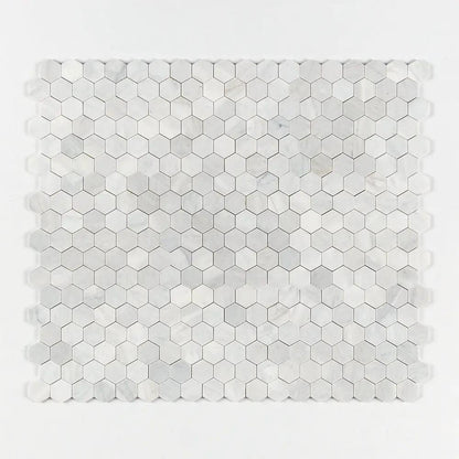 Carrara Blend Honed Hexagon 2 Marble Mosaics 10 3/8x12