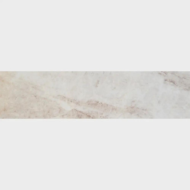 Carrara Paonazzo Matte Porcelain Tiles 12x48
